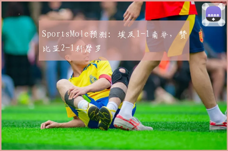 SportsMole预测：埃及1-1南非，赞比亚2-1科摩罗