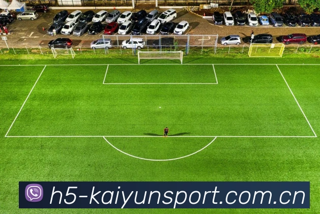 开云体育APP 封面图